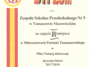 Mistrzostwa Powiatu Tomaszowskiego - Piłka Nożna dziewcząt