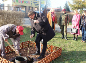 Dąb Niepodległości