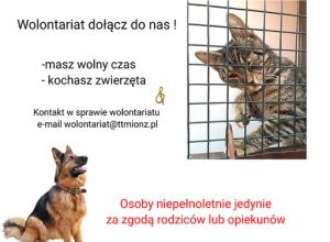 Wolontariat - Dołącz do nas