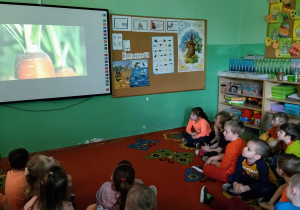 „Dzień Marchewki” w oddziałach przedszkolnych