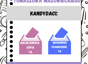 Kampania wyborcza do Młodzieżowej Rady Miasta