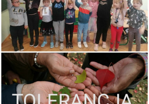 16 listopada Międzynarodowy Dzień Tolerancji