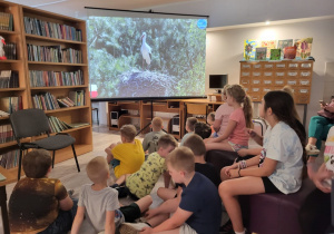 Międzynarodowy Dzień Bociana w bibliotece szkolnej