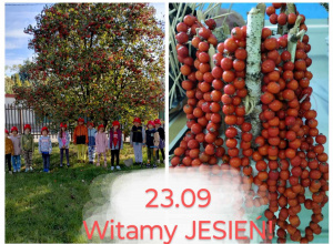 Witamy jesień