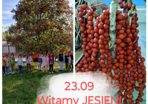 Witamy jesień