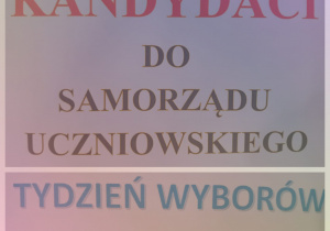 Kampania wyborcza w SP 8