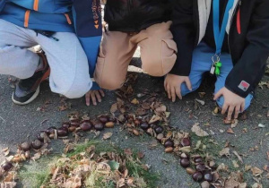 Ogólnopolski Projekt Edukacyjny „Klasa w terenie"