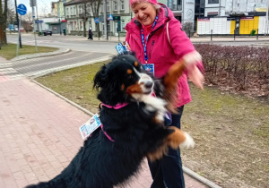 Ósemkowi Wolontariusze WOŚP