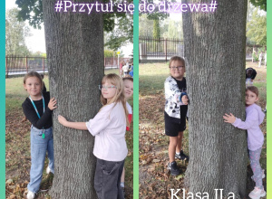 Uczniowie klasy II a obejmują rękoma drzewa.