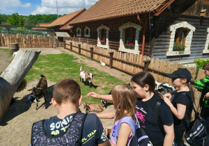 Uczniowie klasy 2a i 3b oglądają zwierzęta.