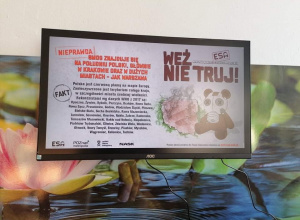 „Weź nie truj!” - Program na rzecz czystego powietrza