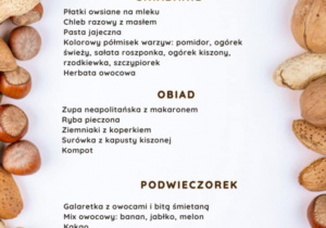 Jadłospis 21.11.2025