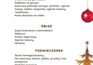 Jadłospis 17.12.2025 r.